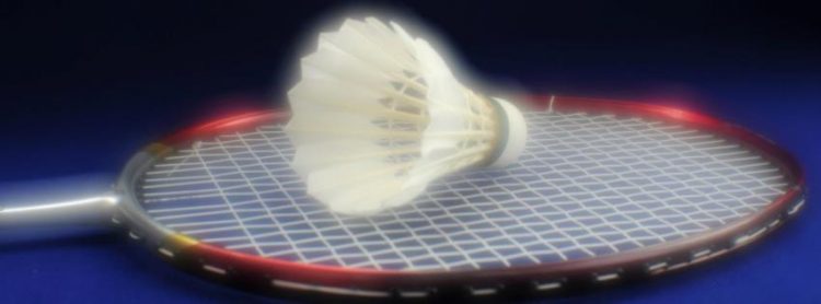 2015 Antrenör Vize Talimatı