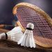 Masterler ve Halk Cumhuriyet Türkiye Badminton Şampiyonası